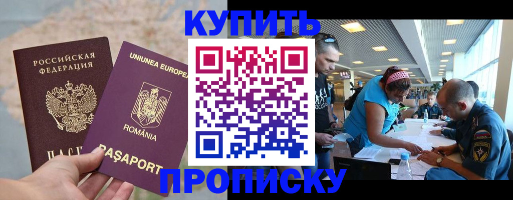 временная прописка в Щёлково
